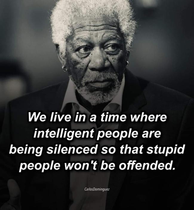 intelligent people are being silenced so that stupid people won't be offended. CarlosDominguez