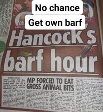 JUNGLE target Matt Han- _cock grimaced as he ate a camel’s penis after I’m A Celebrity viewers voted for him to take on et another pe al did not P FORCED TO GROSS ANIMAL BITS tarian so instead a te some pungent hold back “with their grisly fermented Plums an offerings for the _ etary, _sheep’s a ex-Health Sec- Whic! which also included q vagina and cow’s anus, But the MP to it, after a Sun readers’ oll of hi Declan Donnell